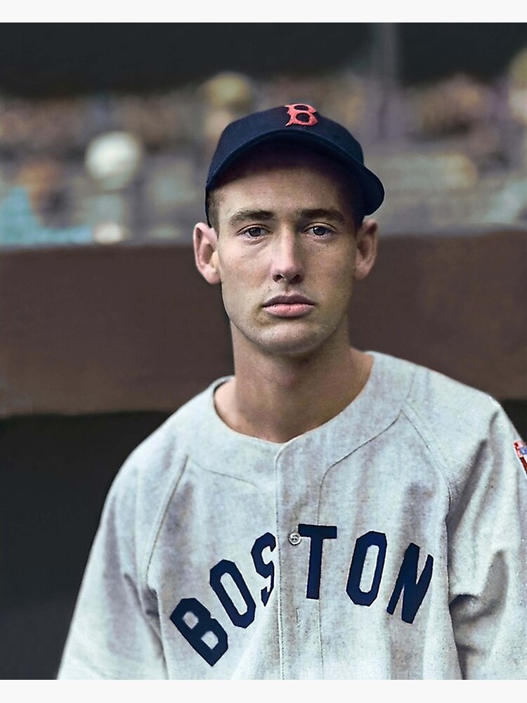 &ldquo;Ted Williams -&rdquo; Poster for Sale by knnj | Redbubble