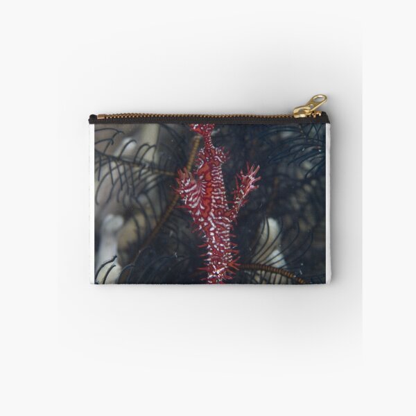 Item preview, Ornate Ghost Pipefish designed and sold by Mark Rosenstein.