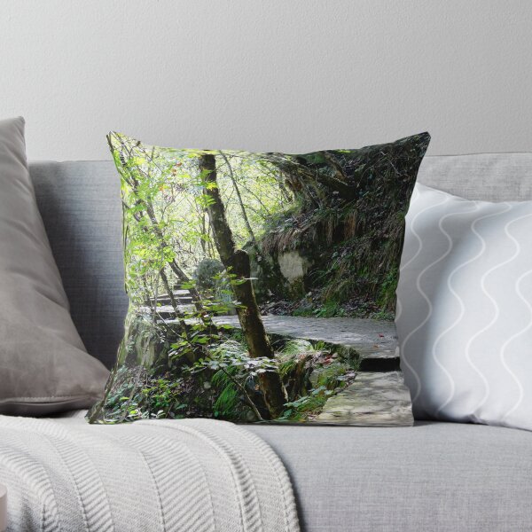 The Ancient Trail to New Adventures Throw Pillow
