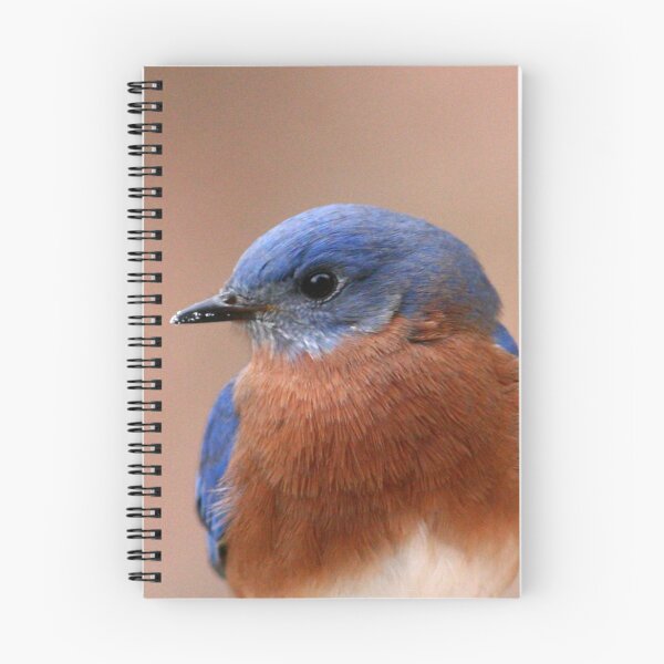 Item preview, EasternBluebird designed and sold by Enola Gay Wagner.