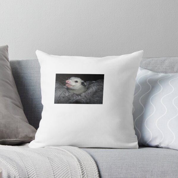 Artikelvorschau, : p opossum entworfen und verkauft von mbleddy.