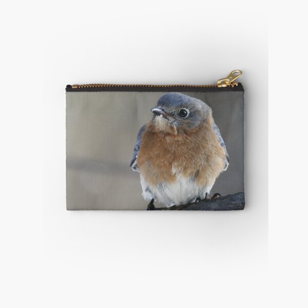 Item preview, Eastern Bluebird designed and sold by Enola Gay Wagner.