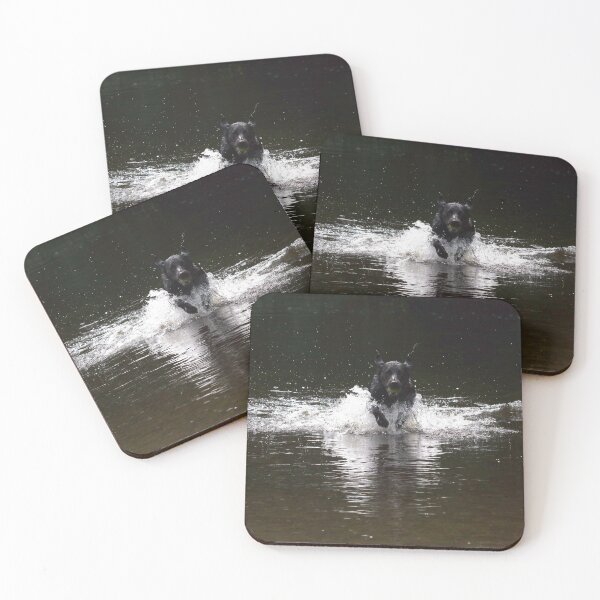 Item preview, Black labrador in water designed and sold by turniptowers.