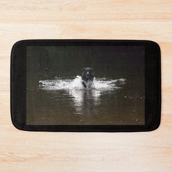 Item preview, Black labrador in water designed and sold by turniptowers.