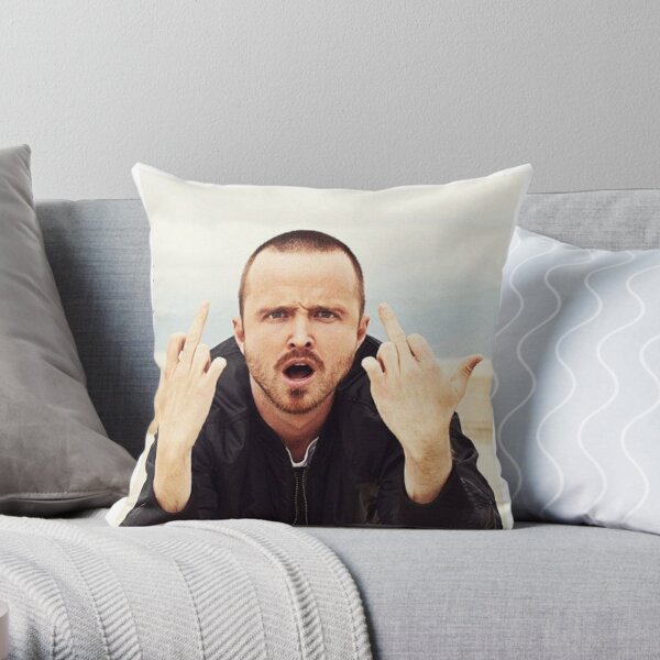 https://ih1.redbubble.net/image.930550084.8627/throwpillow,small,600x-bg,f8f8f8-c,0,120,600,600.jpg