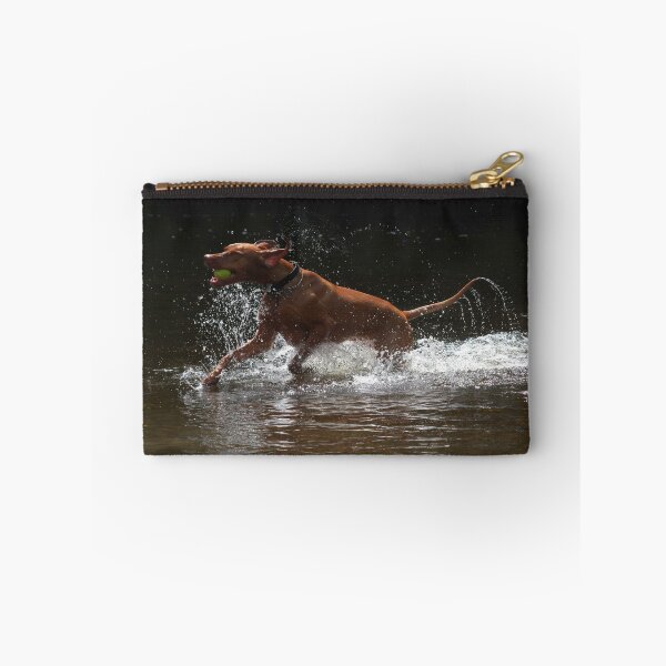 Item preview, Weimeraner in water designed and sold by turniptowers.