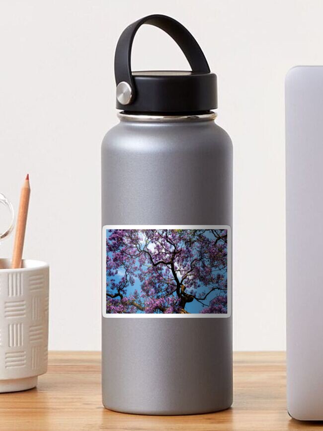 Thumbnail 1 von 3, Sticker, Geschenkidee Jacaranda designt und verkauft von Igelchen.