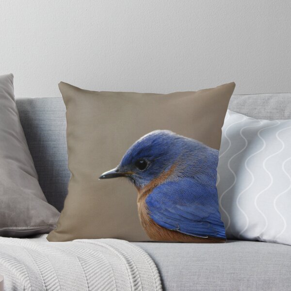 Aperçu de l'œuvre Eastern Bluebird créée et vendue par Enola Gay Wagner.