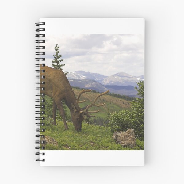 Item preview, Just Browsing designed and sold by Tamas Bakos.