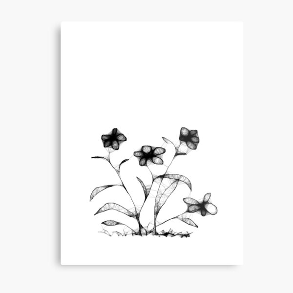 Four Flowers Scribble Metal Print