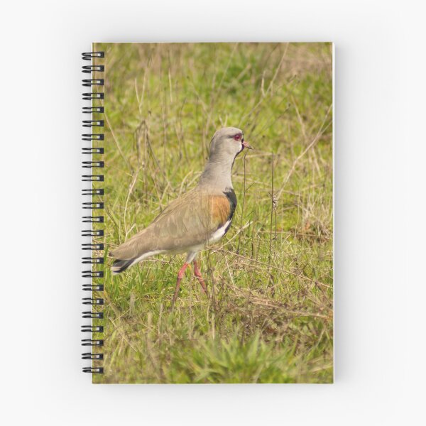Item preview, eps lapwing designed and sold by pcfyi.