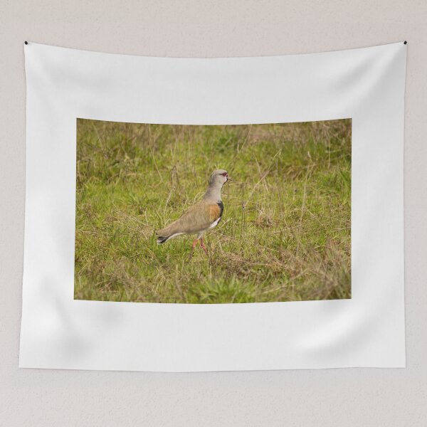 Item preview, eps lapwing designed and sold by pcfyi.