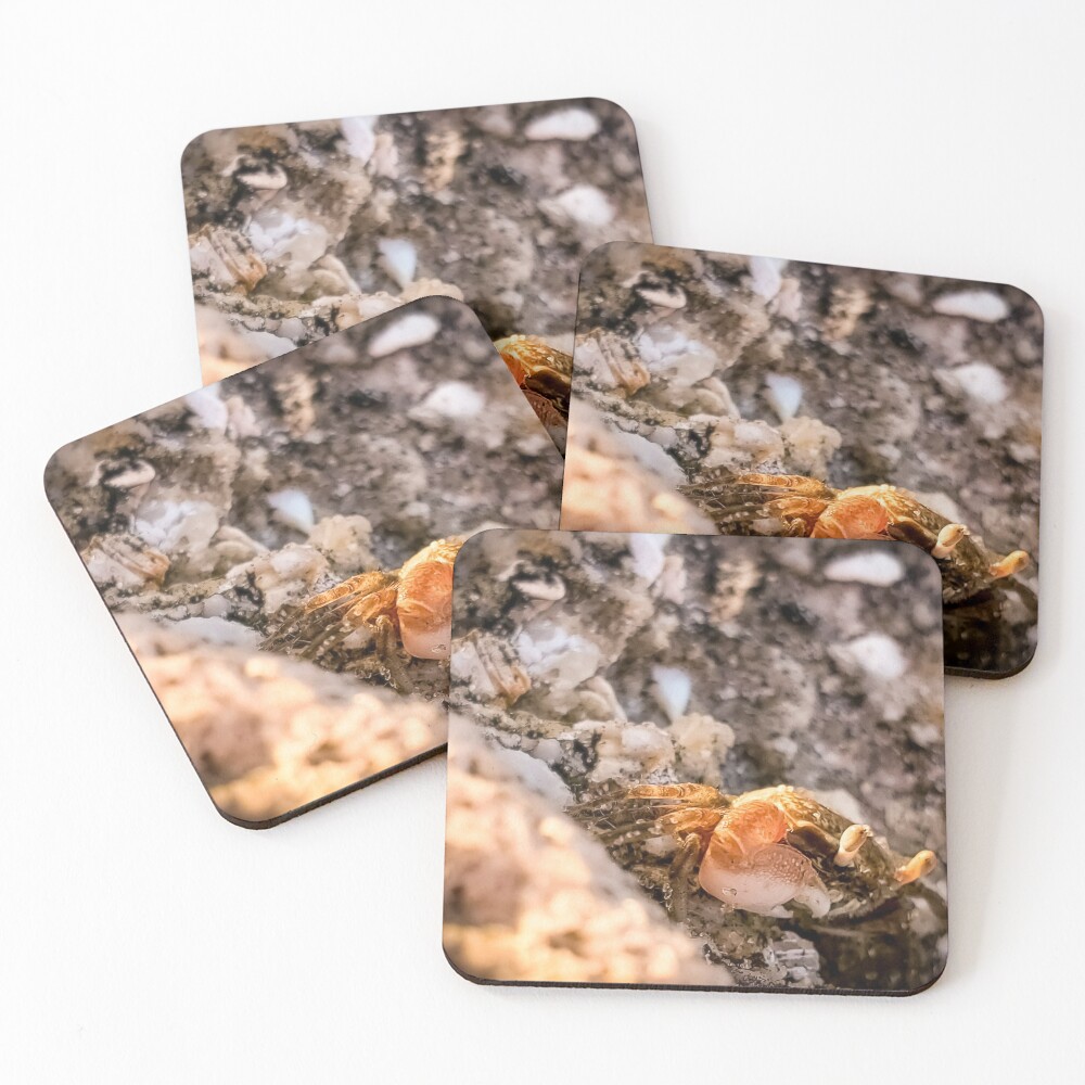 Item preview, Coasters (Set of 4) designed and sold by Racsontos.
