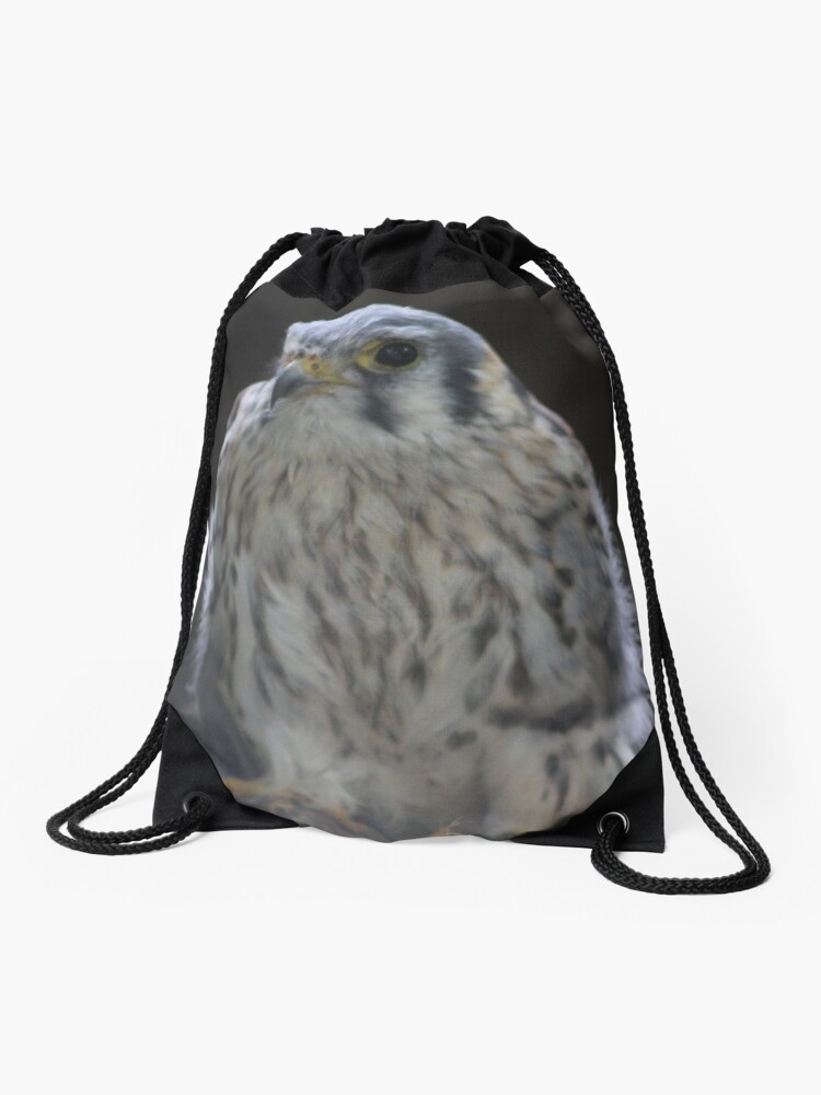 hawk messenger bag