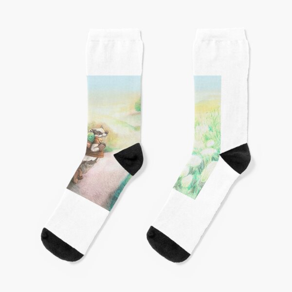 Journey Home Socks