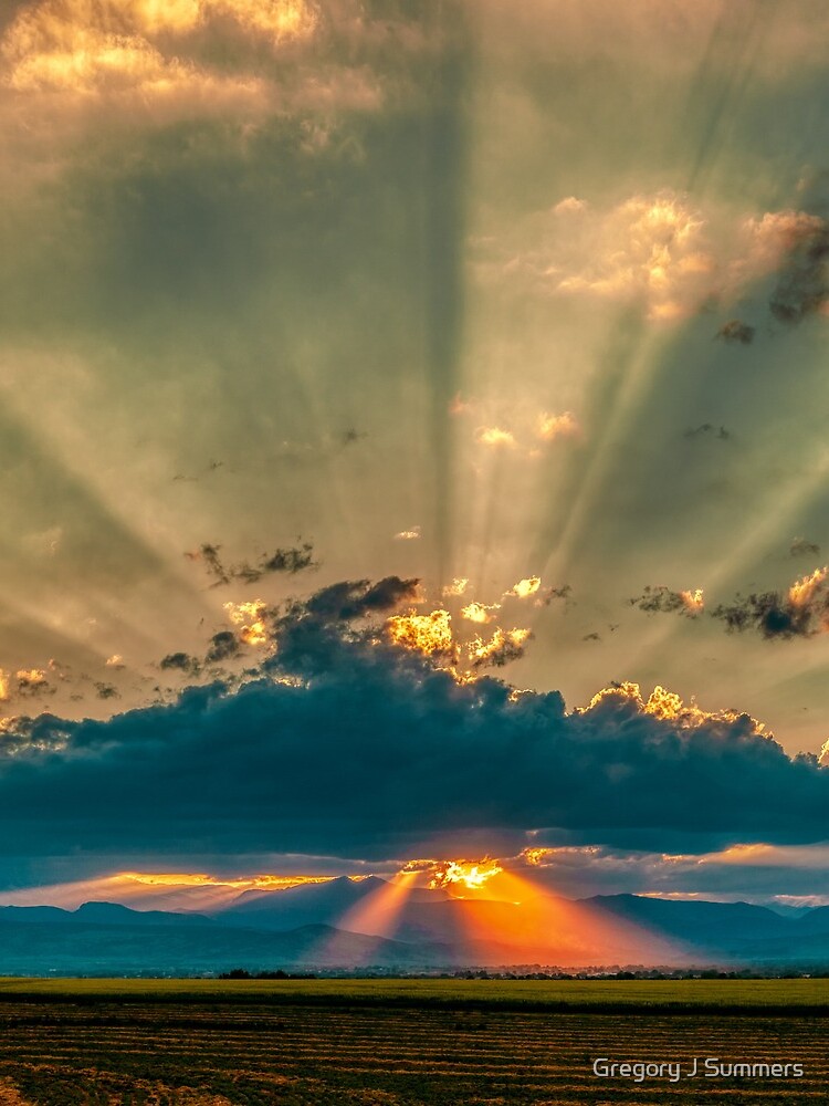 Mainlining Euphoria by nikongreg