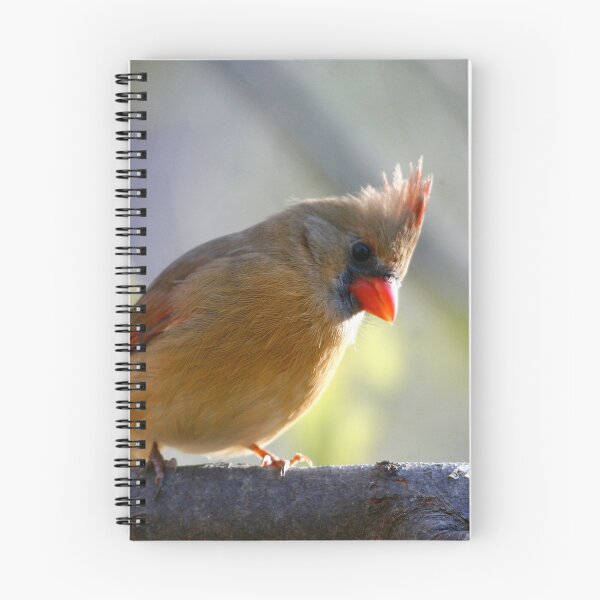 Item preview, Northern Cardinal designed and sold by Enola Gay Wagner.