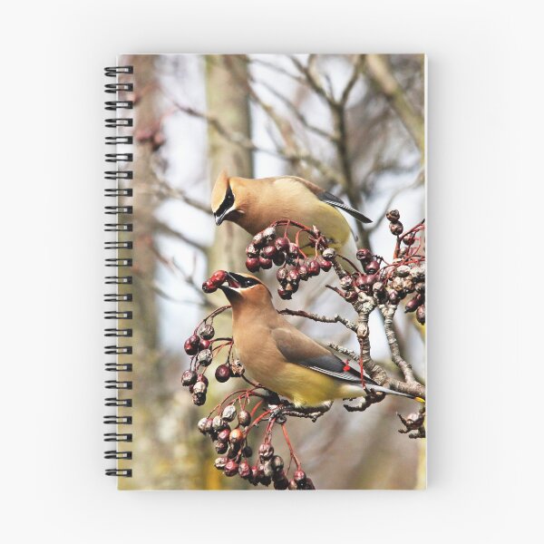 Item preview, Looking Good designed and sold by Debbie Oppermann.
