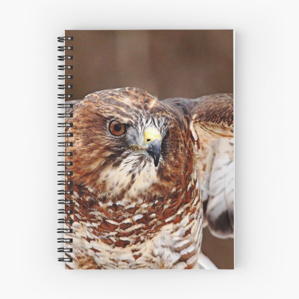 Item preview, Broad - Winged Hawk designed and sold by Debbie Oppermann.