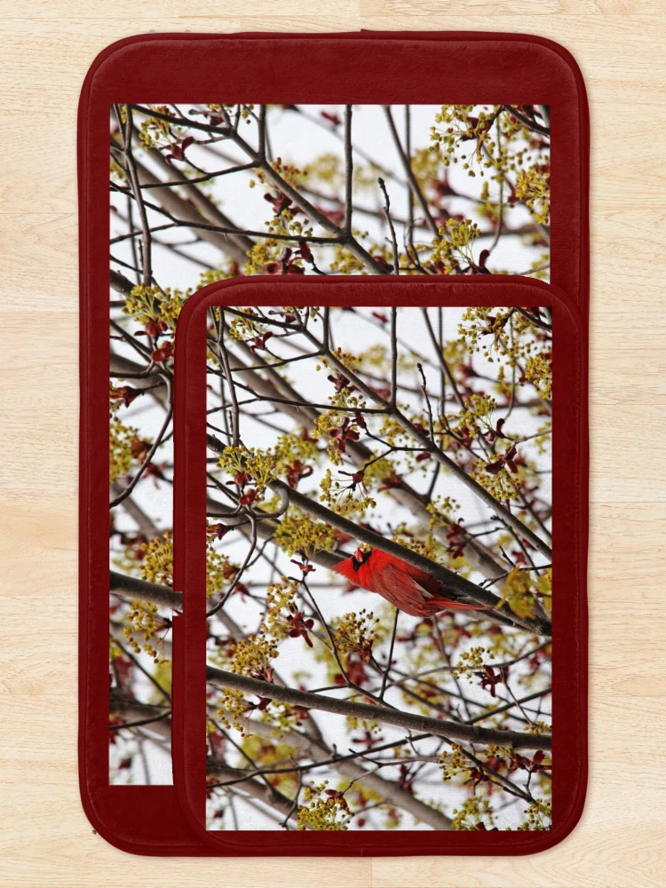 Thumbnail 5 of 6, Bath Mat, Northern Cardinal In Spring Maple Tree designed and sold by Debbie Oppermann.