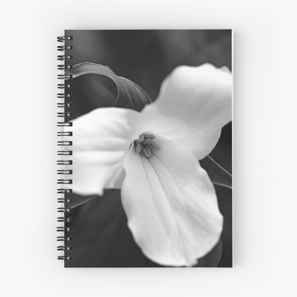 Item preview, Trillium Black And White designed and sold by Debbie Oppermann.