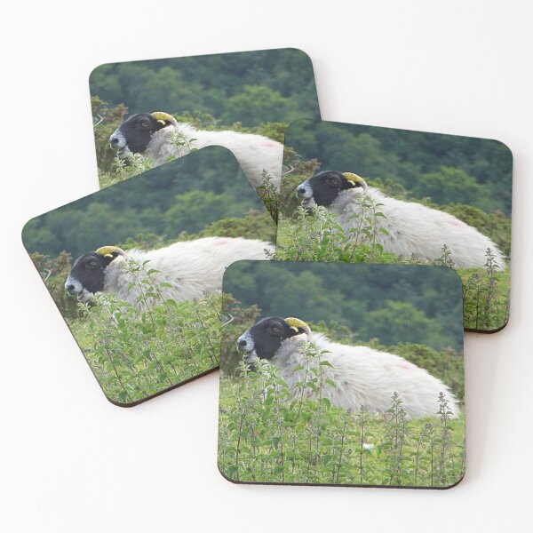 Item preview, Laughing sheep  designed and sold by Superpol44.