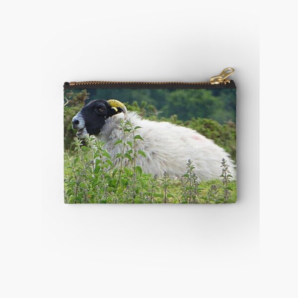 Item preview, Laughing sheep  designed and sold by Superpol44.