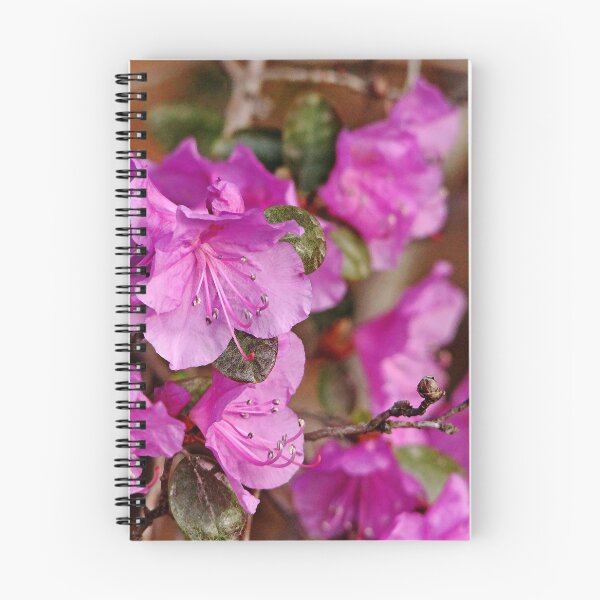 Item preview, Lavender Rhodendron designed and sold by Debbie Oppermann.