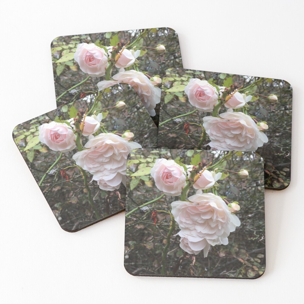 Item preview, Coasters (Set of 4) designed and sold by MetalheadMinis.