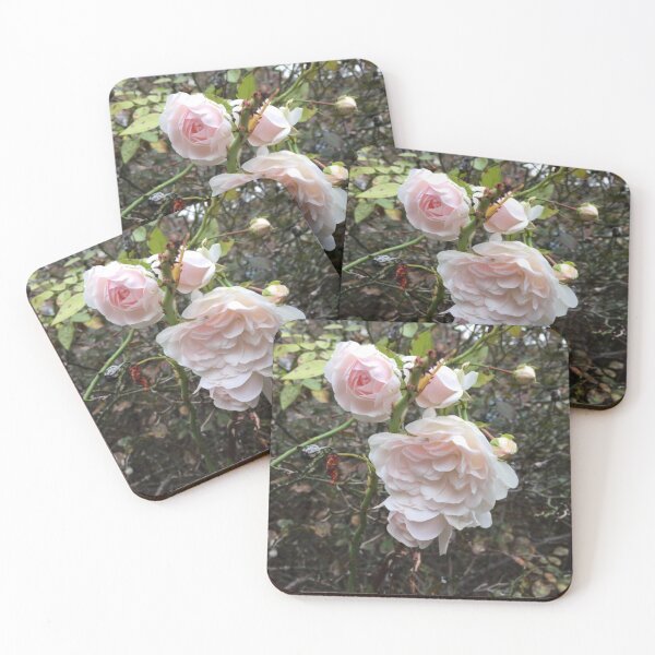 Item preview, Blush Roses designed and sold by MetalheadMinis.