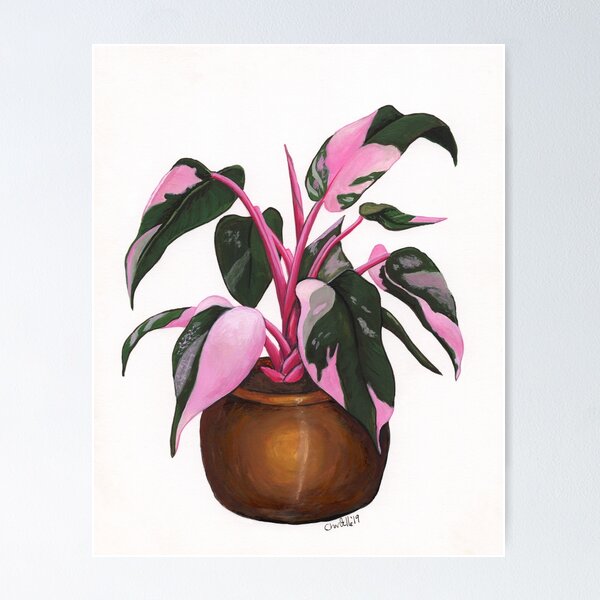 Item preview, Filodendro 'Princesa rosa' designed and sold by Wildlings and Endlings.