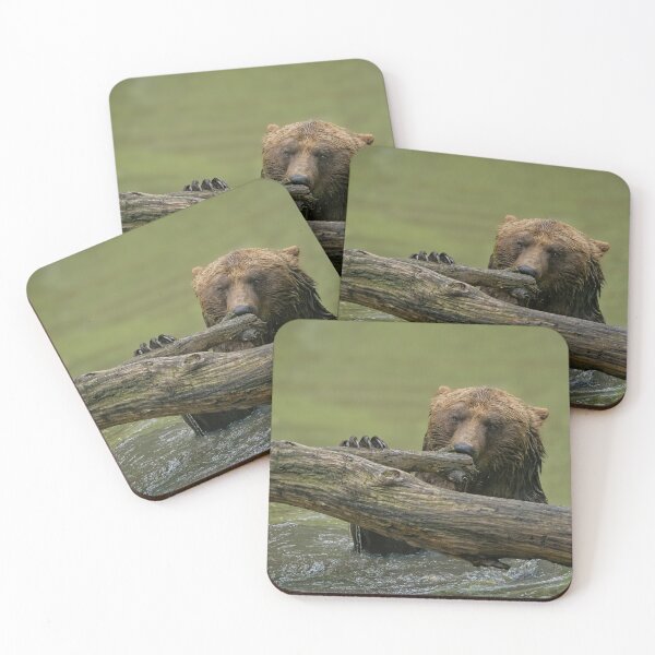 Item preview, Oso Grizzly mojado designed and sold by rawshutterbug.