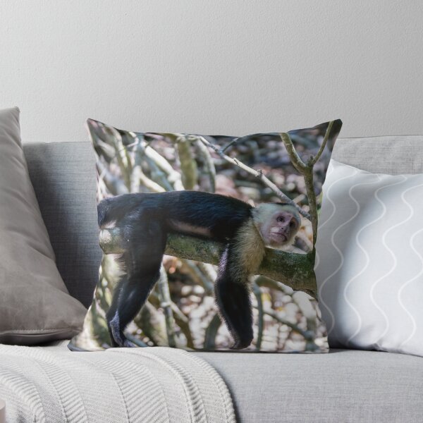 Item preview, White headed capuchin monkey resting designed and sold by Ulysse Pixel.