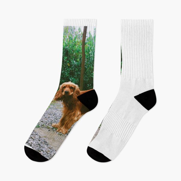 Item preview, Cocker Spaniel designed and sold by kristiART.