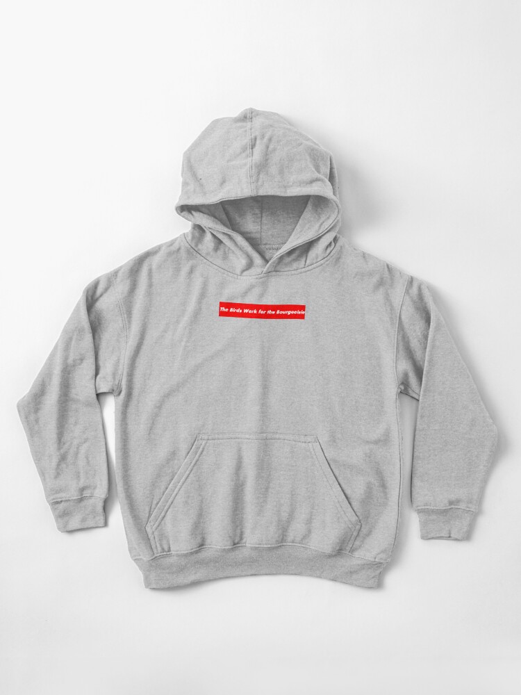parody supreme hoodie
