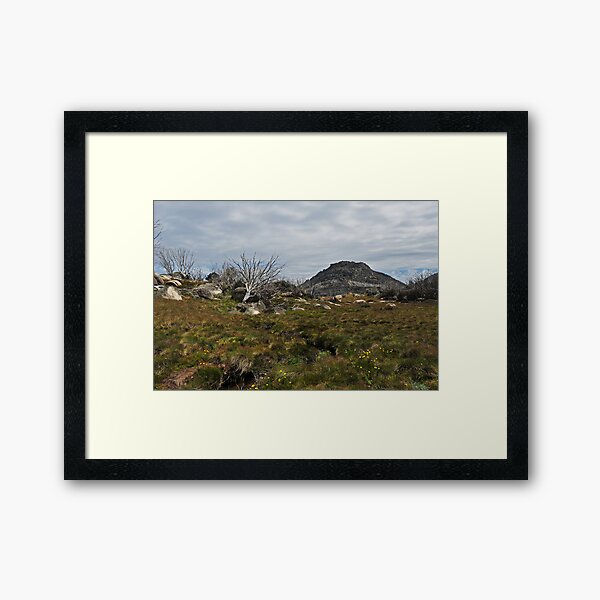 Item preview, The Hump, Mount Buffalo designed and sold by Colin12.