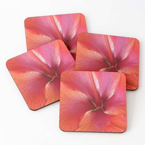 Item preview, Looking closer designed and sold by PAMELA HULL.