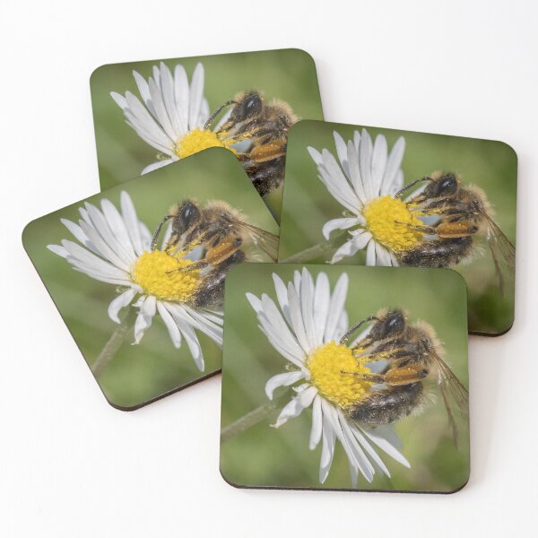 Item preview, Bee on Daisy designed and sold by Adrian Rowley.