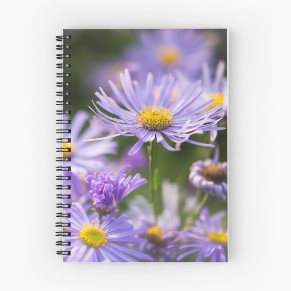 Item preview, Michaelmas Daisies designed and sold by Ellesscee.