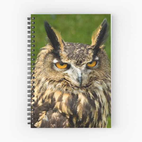 Item preview, European Eagle Owl  designed and sold by Kawka.
