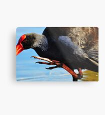 Big Foot Metal Print