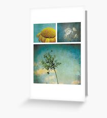 Collection ~ Nature in colour Greeting Card
