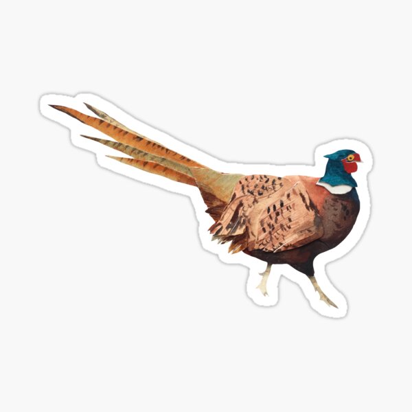 The Fancy Pheasant Sticker