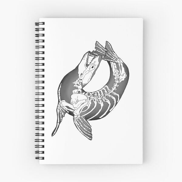 Item preview, Leopard Seal Skeleton designed and sold by TinkerandBone.