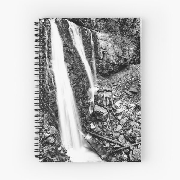Item preview.