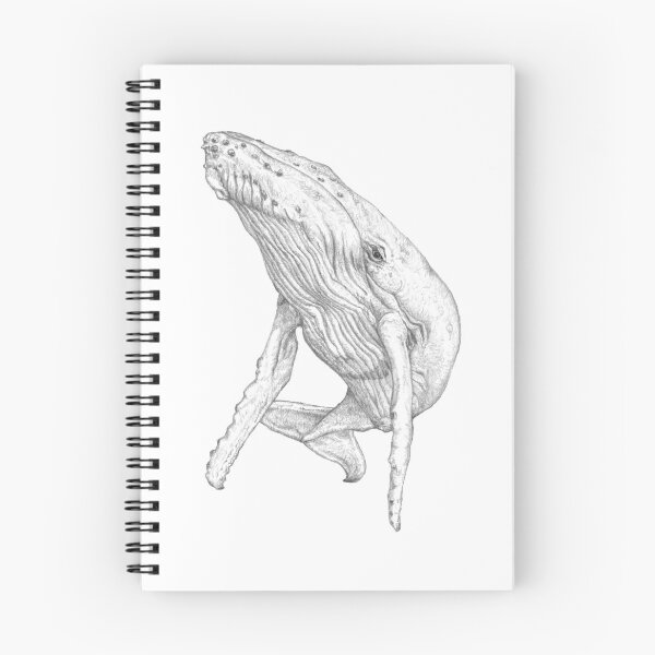 Item preview, Humpback Whale designed and sold by TinkerandBone.