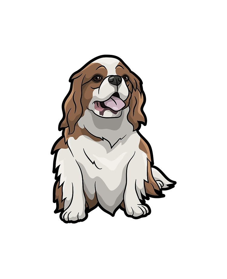 cavalier king charles spaniel clothes