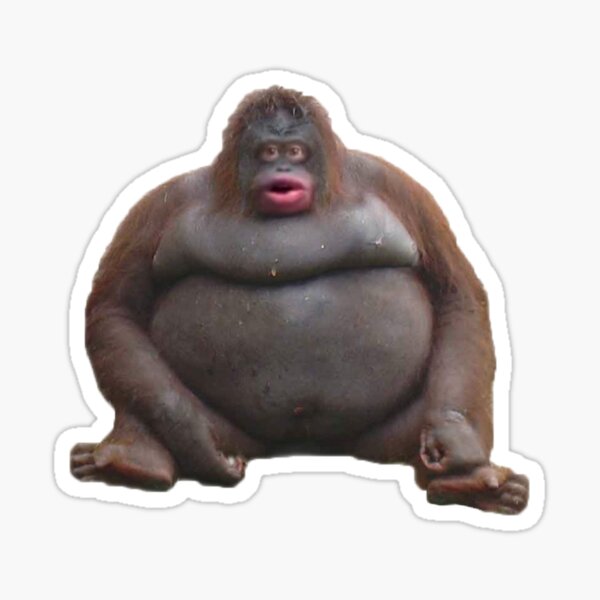 monke strong together monke strong together