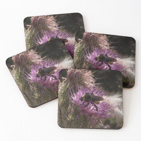 Item preview, American Bumblebee On Thistle designed and sold by Zina Stromberg.