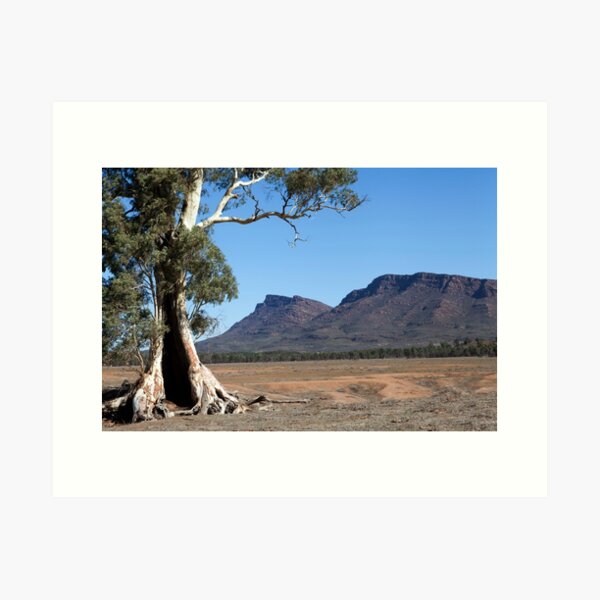 Item preview, Cazneaux's Tree designed and sold by Geoff Smith.